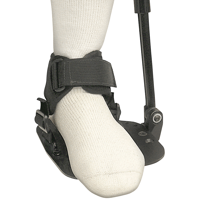 Example of GoVets Lacura category
