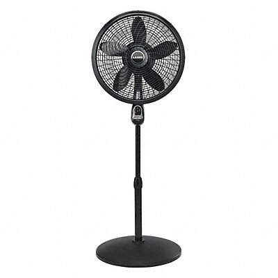 Example of GoVets Lasko brand