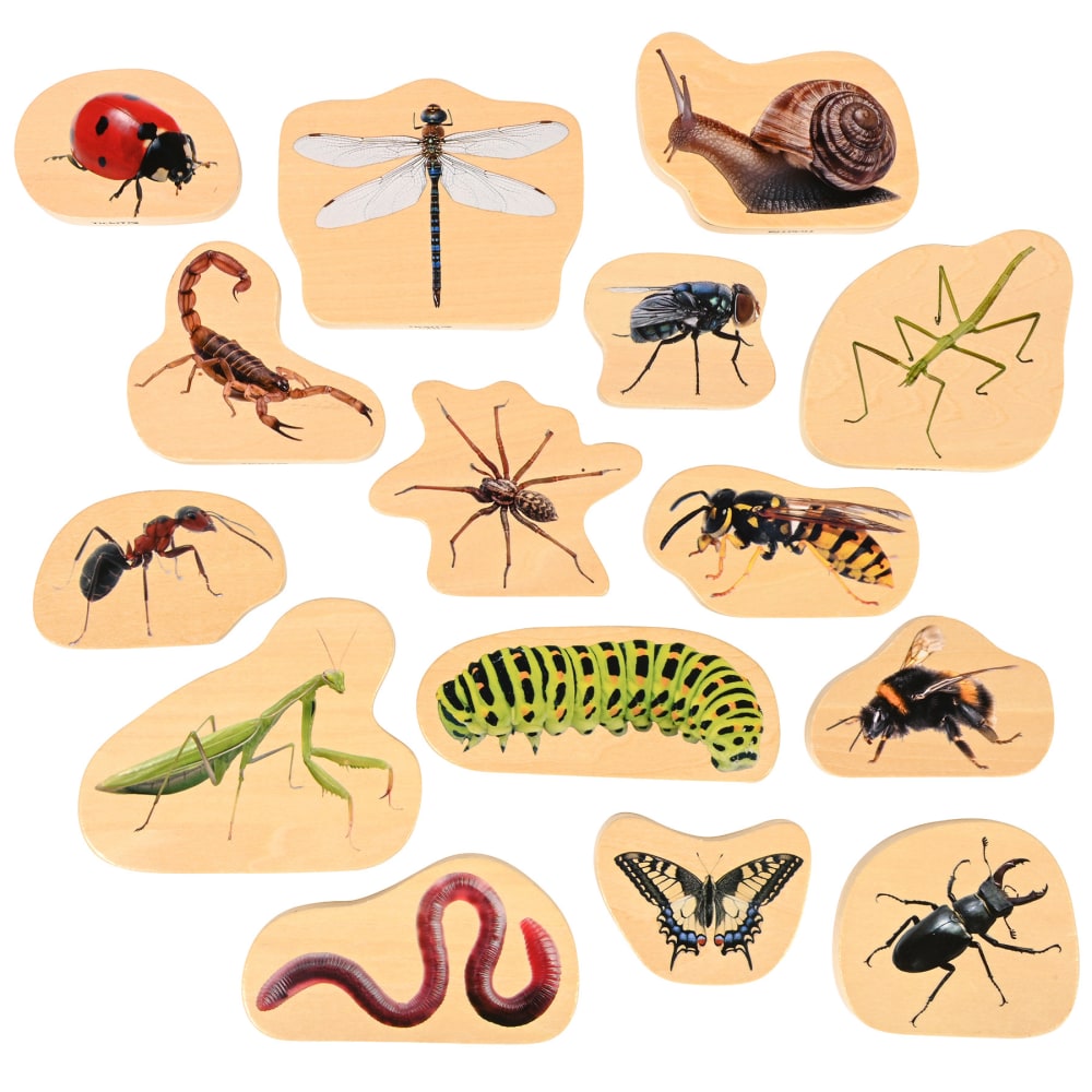 Tickit Wooden Minibeast Blocks, Set Of 15 MPN:CTU73568