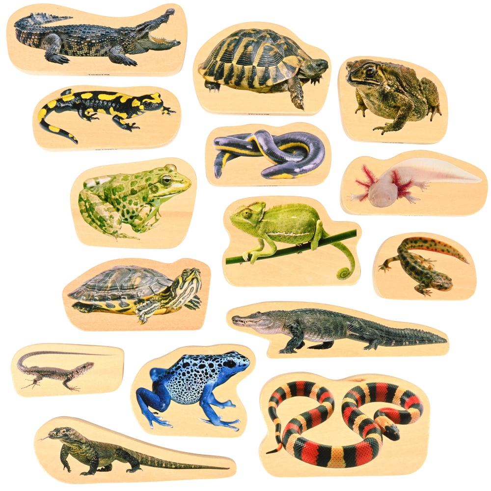 Tickit Wooden Reptile & Amphibian Blocks, Set Of 15 MPN:CTU73570