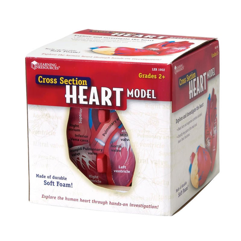 Learning Resources Human Heart Cross Section Model, 5 1/2in x 6in, Grades 6 - 12 MPN:LER1902