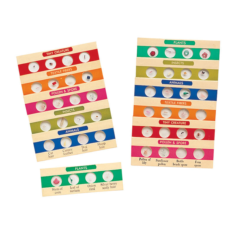 Learning Resources Prepared Microscope Slides, 4 1/2inH x 3 1/2inW x 2 1/2inD, Grades 3 - 12, Pack Of 12 MPN:LER2041