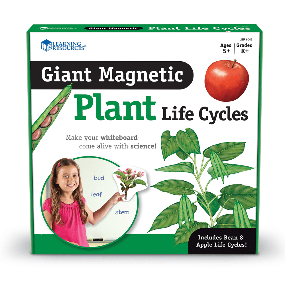 Learning Resources Giant Magnetic Plant Life Cycle, Set Of 12 MPN:LER6045
