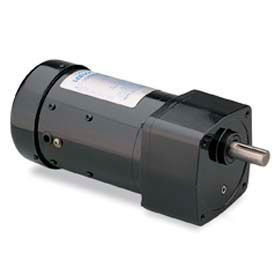Leeson 096051.00 1/3 HP 173 RPM 115/230V 1-Phase TEFC PE350 101 Ratio 109 In-Lbs 096051.00