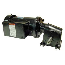 Leeson M1145127.00 3/8 HP 29 RPM 208-230V 3-Phase TEFC 13 601 Ratio 220 In-Lbs M1145127.00