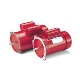 Leeson Motors Single Phase Farm Ag Motor 1/3HP 1725RPM 48 TEFC 115/230V 60HZ Manual Special 101159.00