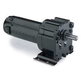 Leeson M1125218.00 1/8 HP 31 RPM 12VDC TENV P300 581 Ratio 220 In-Lbs M1125218.00