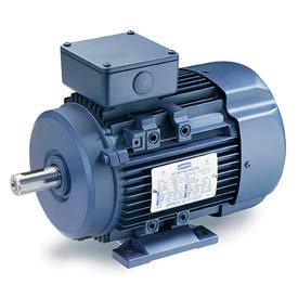Leeson Motors Motor IEC Metric Motor-10HP 230/460V 3510/2905RPM IP55 B3 1.15 SF 89.5 Eff. 193312.60