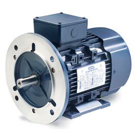 Leeson Motors Motor IEC Metric Motor-5.5HP 230/460V 1180/975RPM IP55 B3/B5 1.15 SF 87.5 Eff. 193341.60