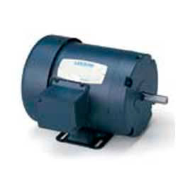 Leeson 131454.00 5 HP 1425 RPM 220/380/440V 50 Hz 184T IP54 Rigid 131454.00