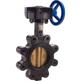 Legend Valve® T-367AB-G Butterfly Valve with BUNA Seals & Gear Operator 3