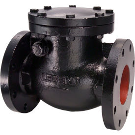 Legend Valve® T-311 Cast Iron Swing Check Valve 3