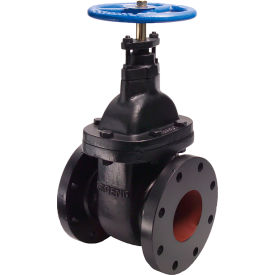 Legend Valve® T-301 Non-Rising Stem Gate Valve Cast Iron 5
