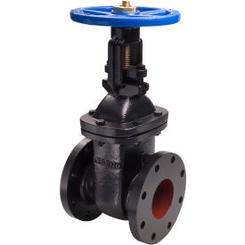 Legend Valve® T-303 OS & Y Gate Valve Cast Iron 4