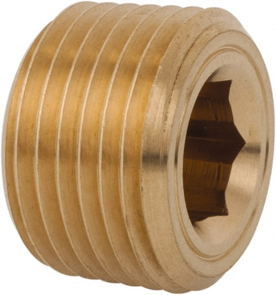 Industrial Pipe Hollow Hex Plug: 1/4