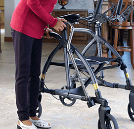 Example of GoVets Lifewalker brand