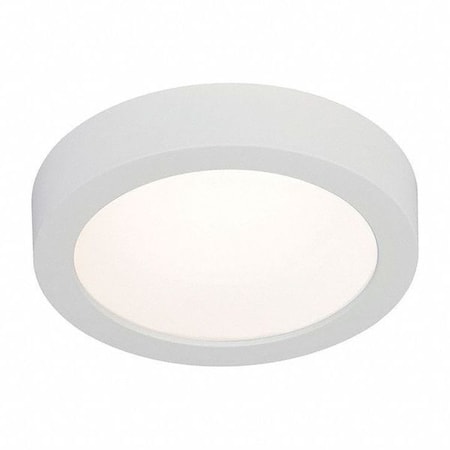 Example of GoVets Lightolier category
