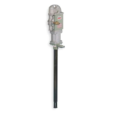 Example of GoVets Pumps Other category