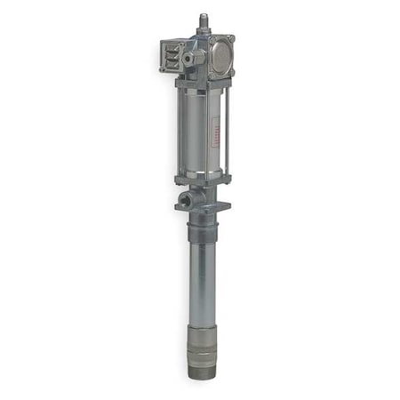 Example of GoVets Pumps Other category