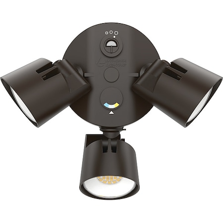 Example of GoVets Lithonia Lighting category