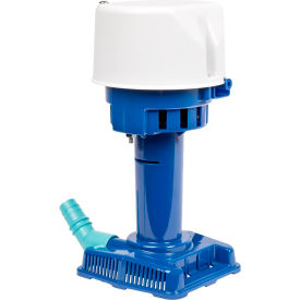 Little Giant® Condensate Removal Pump CP2-230 Automatic 230V 502 GPH At 1' 541015