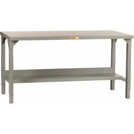 Little Giant WST2-2448-AH 48