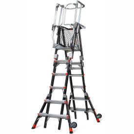 Example of GoVets Safety Cage Ladders category
