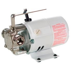 Little Giant 555602 Non-Submersible Utility Pump- 12V DC w/Nickel Plated Brass Head 555602