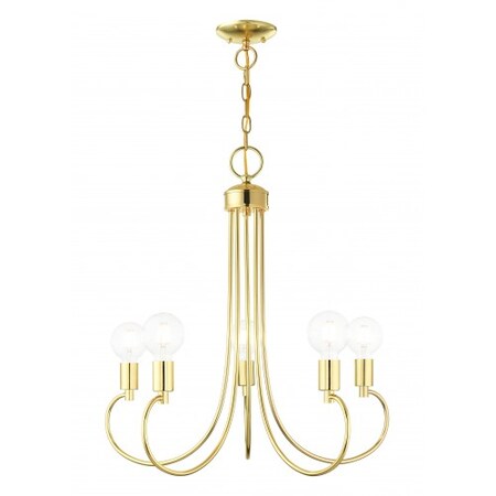 Polished Brass Chandelier, 5 Light MPN:42925-02
