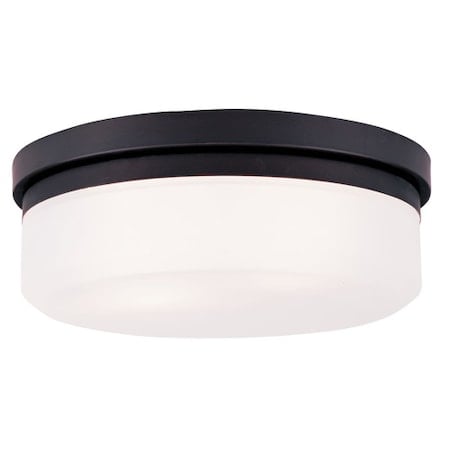 Stratus 2 Light Bronze Ceiling Mount or Wall Mount MPN:7392-07