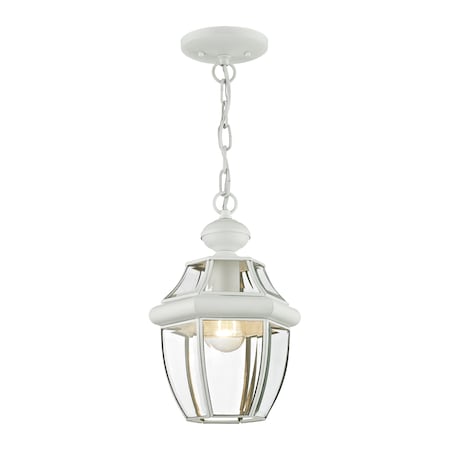 Monterey 1 Light White Outdoor Pendant L MPN:2152-03