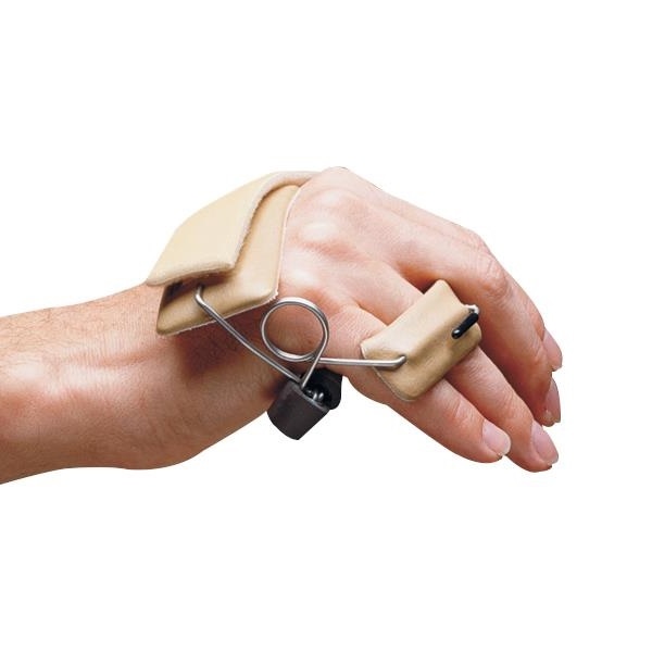 Example of GoVets Lmb Ulnar brand