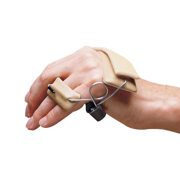 Example of GoVets Lmb Ulnar category