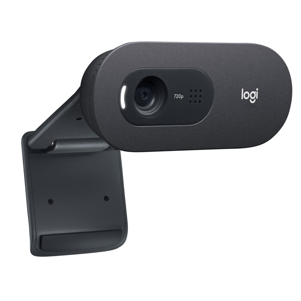 Example of GoVets Webcams category