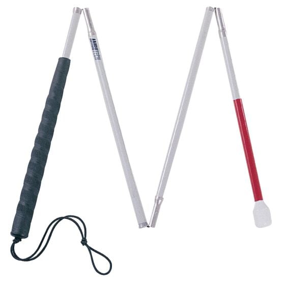 Example of GoVets Mobility category