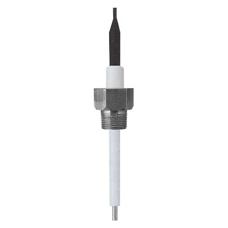 Liquid Level Probe, SS, 12