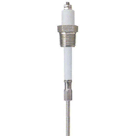 Liquid Level Probe, SS, 12