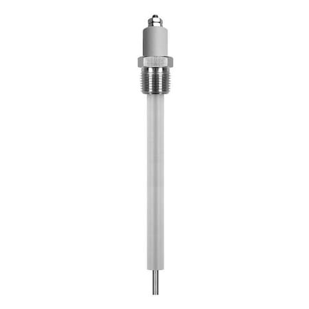 Liquid Level Probe, SS, 12