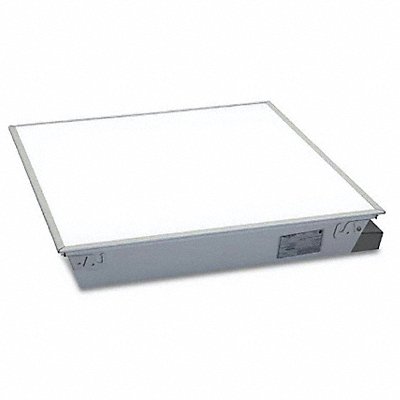 Example of GoVets Lumination brand