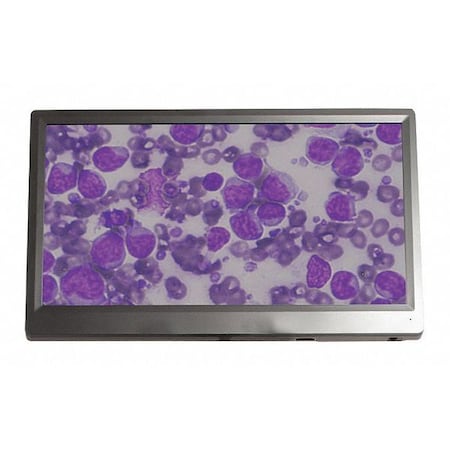 Bioview Microscope Camera And Monitor MPN:BVC-1080-TVK3