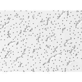 USG 506 Fissured™ Ceiling Panels Mineral Fiber White 24