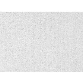 USG 56099 Clean Room™ ClimaPlus™ Ceiling Panels Mineral Fiber White 24