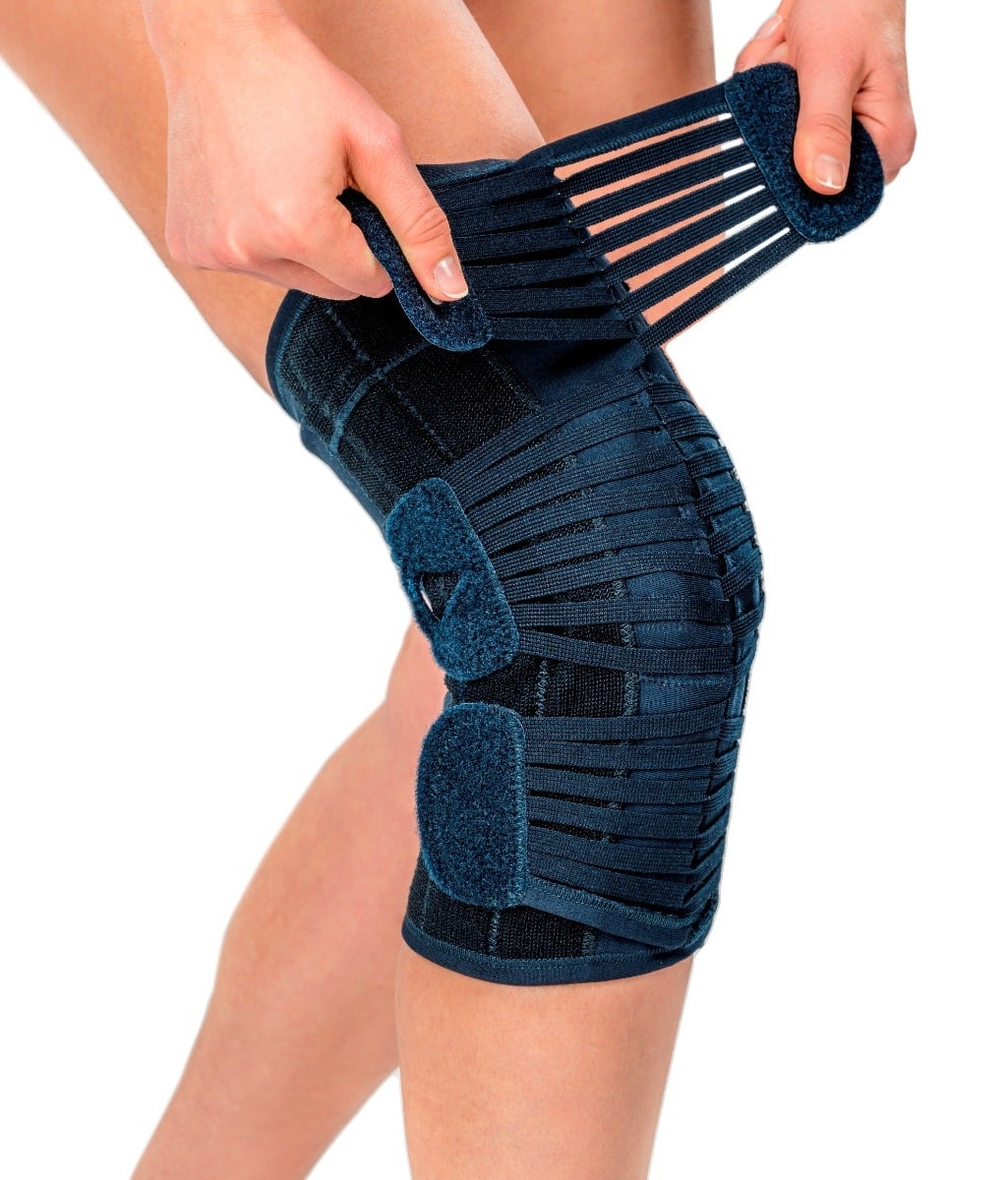 Example of GoVets m Brace category