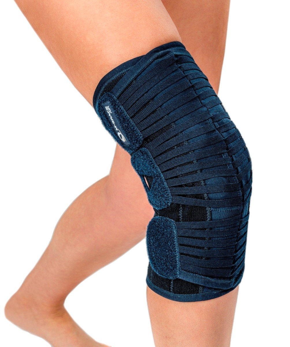 Example of GoVets m Brace category
