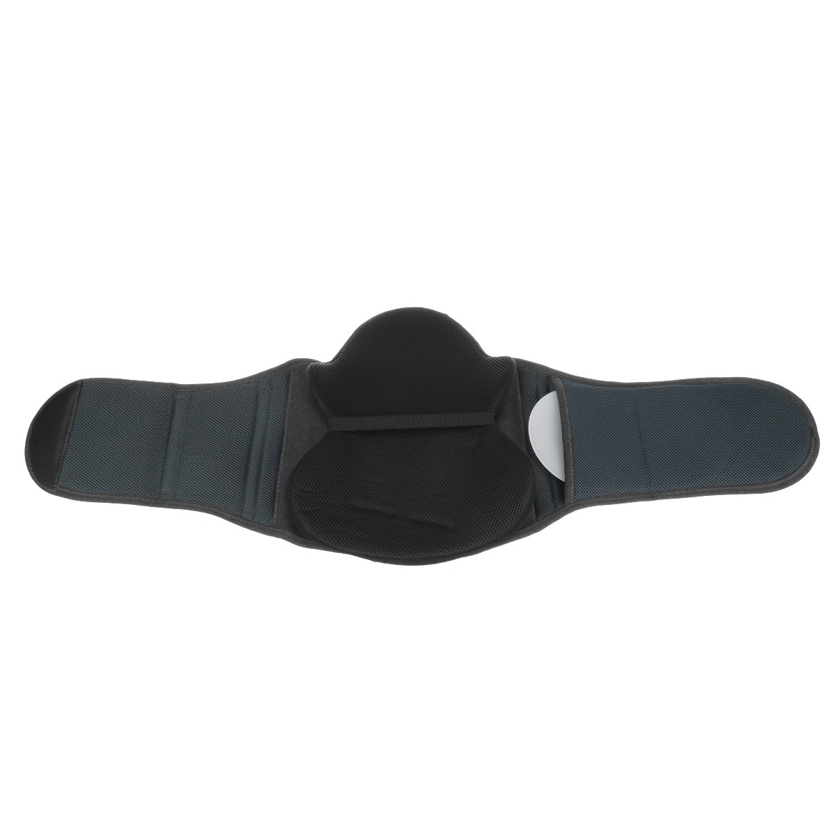 Example of GoVets Lumbar Brace category