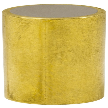 Alnico Shielded Magnet 3/8