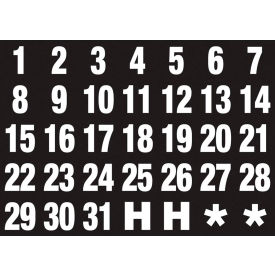 Magna Visual Magnetic Heading Calendar Dates Numbers 1-31 White on Black FH-37