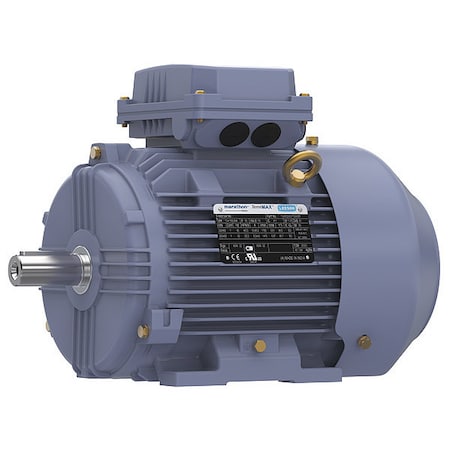 Metric Motor, 100L, Rigid Base MPN:TCA0032AE211GAA009