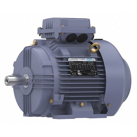 Metric Motor, 112M, Rigid Base MPN:TCA0042AE211GAA009