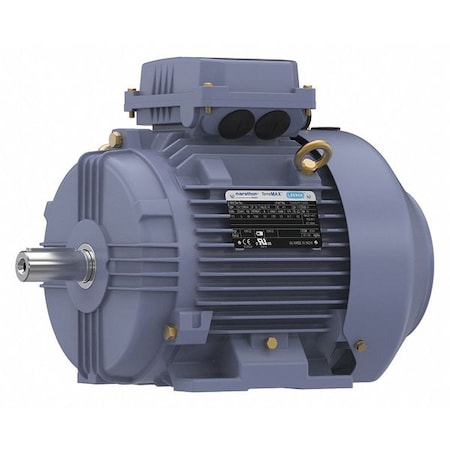 Metric Motor, 112M, Rigid Base MPN:TCA0042AP211GAA009